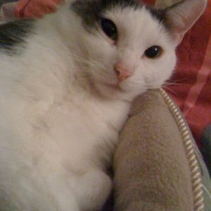 Meet your Posher, Cindy